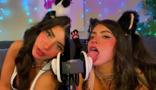 Кошечки флиртуют слизывают уши и создают многогранные звуки